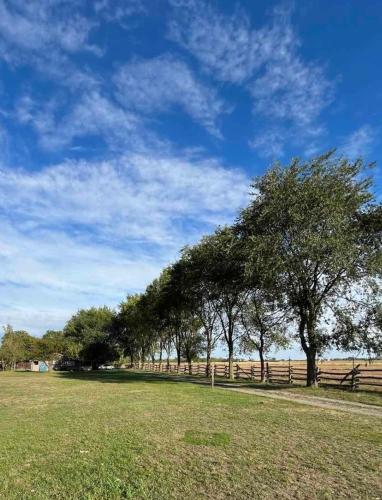 Kert, Salaš Munja (Salas Munja) in Čenej