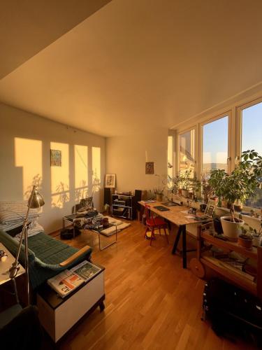 The Nest - feels like home - quiet and bright, Oslo