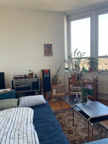 The Nest - feels like home - quiet and bright, Oslo (photo 7)