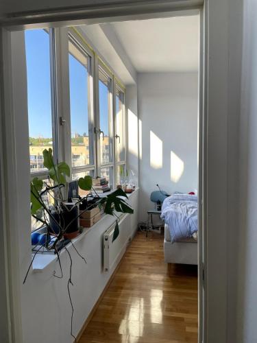 The Nest - feels like home - quiet and bright, Oslo (photo 11)