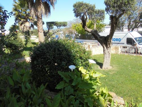 Garden, Jardim Paraiso Apartments in Guia