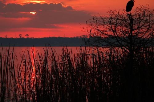 The Well #303 The Well #303