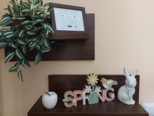 Terra complex -D6 - Balkan private apartment-Spa Sking Golf and Relax, Razlog (foto 10)