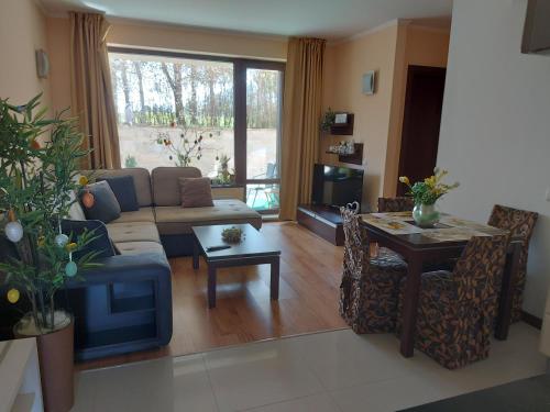 Terra complex -D6 - Balkan private apartment-Spa Sking Golf and Relax, Razlog (foto 9)