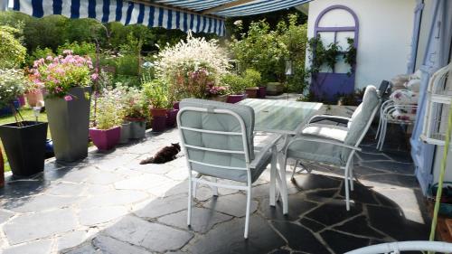 Le Jardin de Marie-Jeanne photo 16