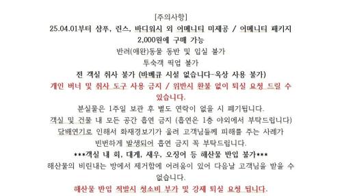 션샤인
