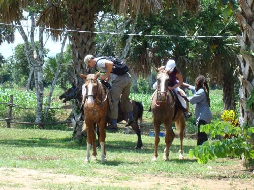 Mahogany Hall Luxury Boutique Resort