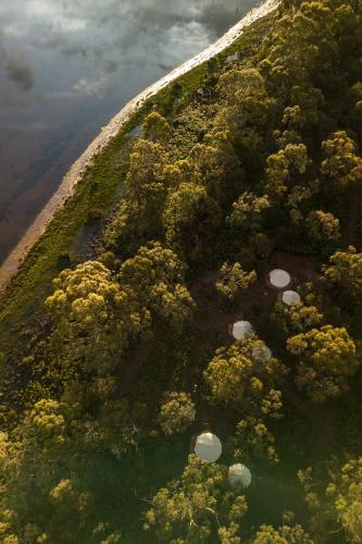 Numie - Freycinet Peninsula - Glamping - Heated - Waterfront, Коулс-Бей (фото 10)