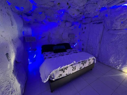 Glamping Spa & Coffee Tour, Medellín (fotografie 9)