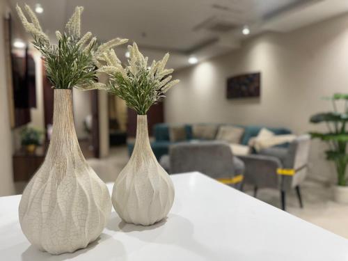 Elevated Luxury Gold Crest Mall Apartments with Al Fatah store by HBA - image 5