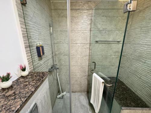 Two-Bedroom Apartment with City View image 5