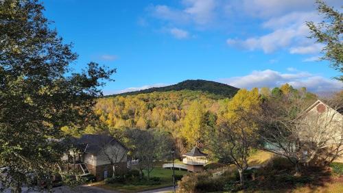 Little Prince Of Kingwood Little Prince Of Kingwood