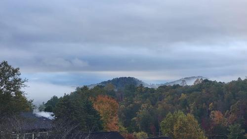 Little Prince Of Kingwood Little Prince Of Kingwood