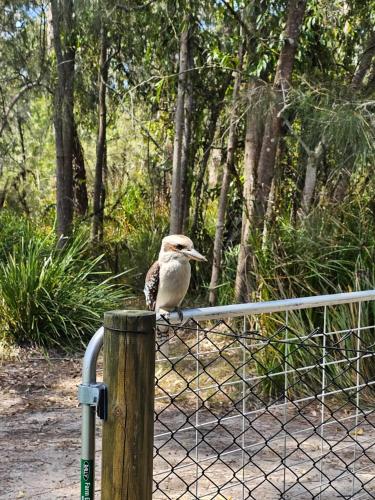 Surrounding environment, Tranquility in Sanctuary Point
