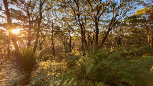 Iekārtas, Classic Beach and Bay Weekender in Hardys Bay