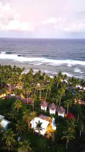 Three Little Birds Surf Hostel in シアルガオ島