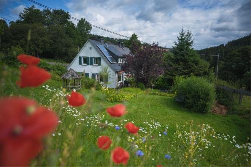 Bei Fuchses am Wisentpfad in Bad Berleburg, Deutschland