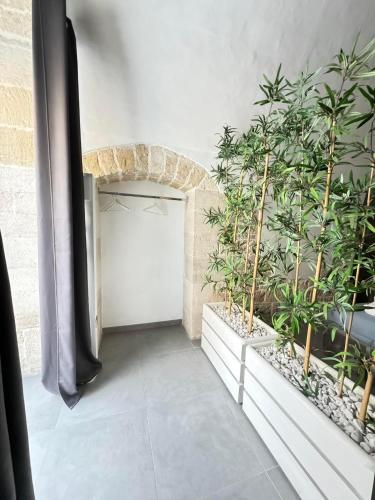 Amalè suite Gardenia 9 (Amale suite Gardenia 9) in 卡拉多