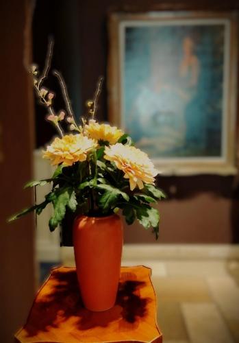 Boutique Hotel Die Swaene