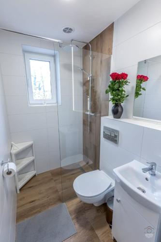 Apartament Mickiewicza