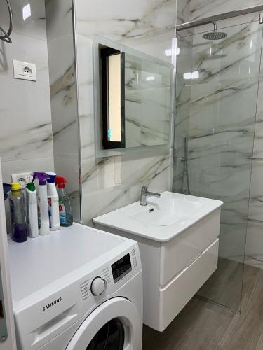 Two-Bedroom Apartment image 10