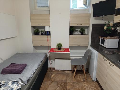 Basement Studio close to Train Station, Братислава (фото 7)