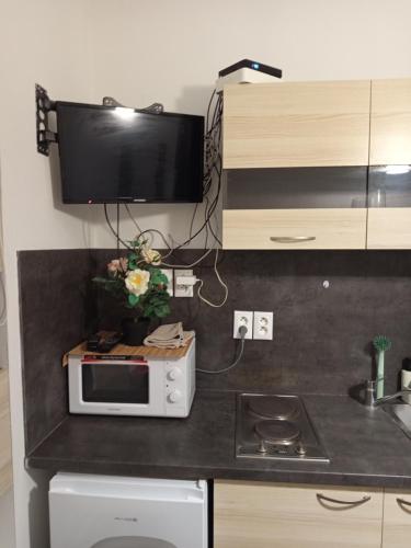 Basement Studio close to Train Station, Братислава (фото 6)