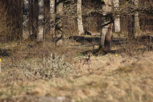Hunting Lodge Yxkullsund - Fishing - Trekking - Hunting B&B
