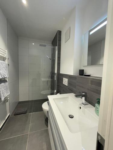 Apartment St Johannis, Norimberga (foto 9)