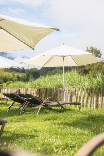 Ritzenhof - Hotel & Spa am See - image 2