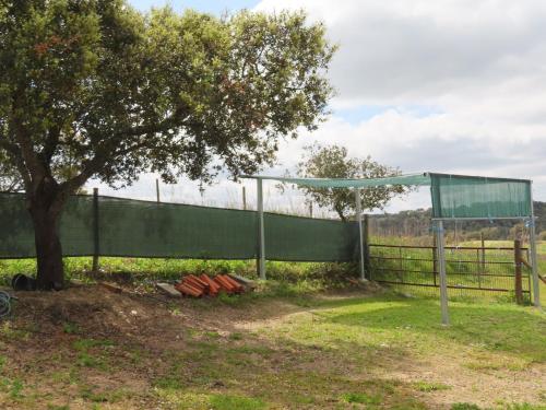 MONTE DO SALTO DA RAPOSA