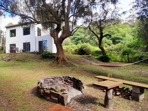 Casa de Olivos