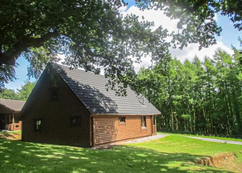 Viesnīcas āriene, Pantglas Hall Lodges in Llanegwad