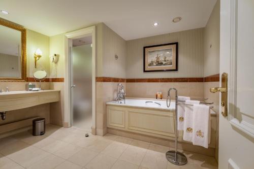 Junior King Suite with River View image 10