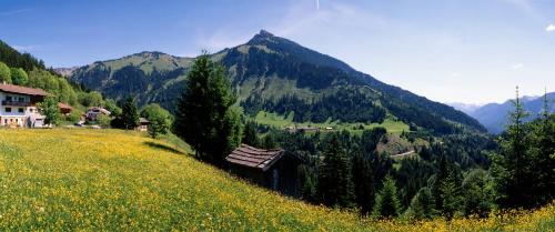 Gästehaus Perktold - image 11