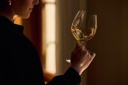 Gast - und Kulturhaus Der Teufelhof Basel - image 10