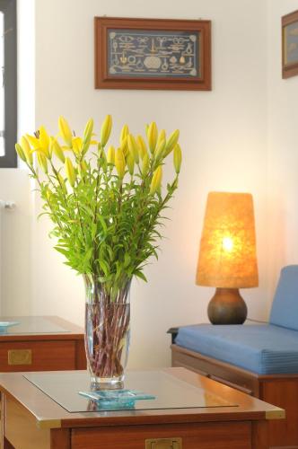 Hotel Gambone - image 5