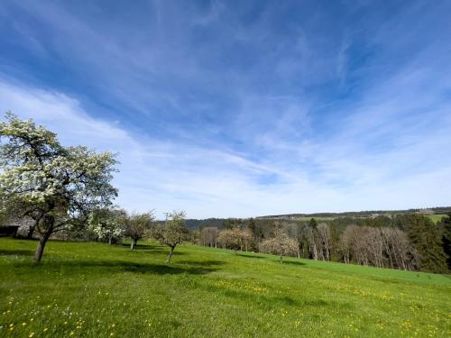 Tischneck Chalets - TraumFerienhäuser im Schwarzwald - Chalet Limone