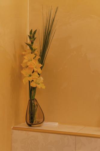 Bella & Stella rooms, Buje (foto 10)