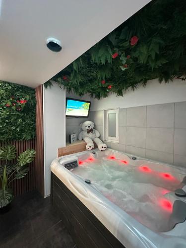 Évasion Spa Jacuzzi Sauna - Location saisonnière - Eckbolsheim