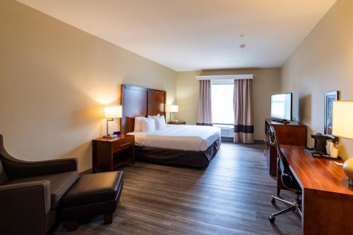Comfort Inn & Suites Baton Rouge Airport - image 7