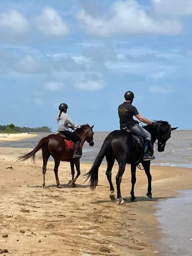 Aktivitas, Domaine de la Matourienne in Matoury
