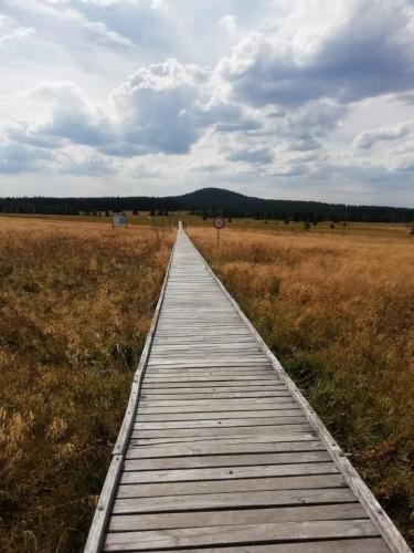 Blatensky House 393 - Apartmá 2 (Blatensky House 393 - Apartma 2) in Abertamy