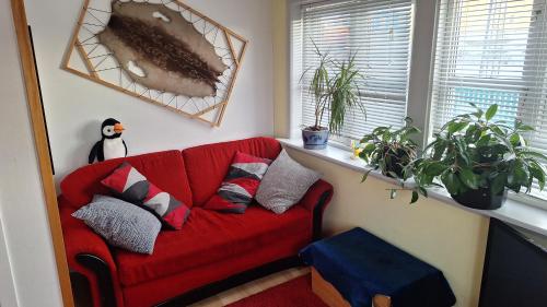 Pipaluk - a warm place in a cool country in 纳沙克