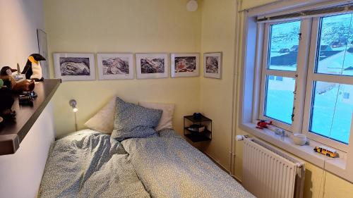 Pipaluk - a warm place in a cool country in 纳沙克