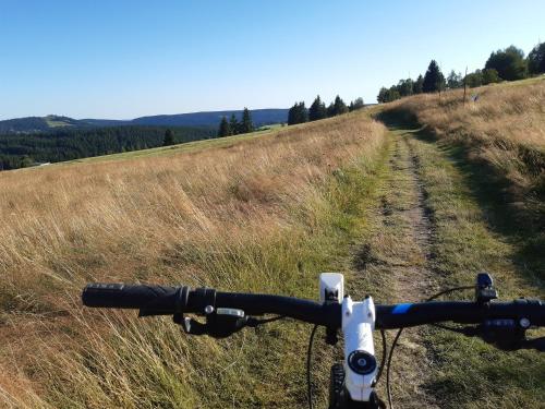 Blatensky House 393 - Apartmá 2 (Blatensky House 393 - Apartma 2) in Abertamy