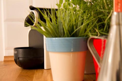 Abbituè Apartment - image 13