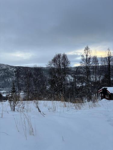 Geilo, two cabins, silence, nature, skiing and summer sports Geilo, two cabins, silence, nature, skiing and summer sports