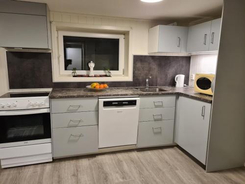 Nice and child friendly apartment in Gulset Skien in Skien