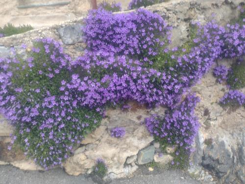 Loft 43 in La Trinite